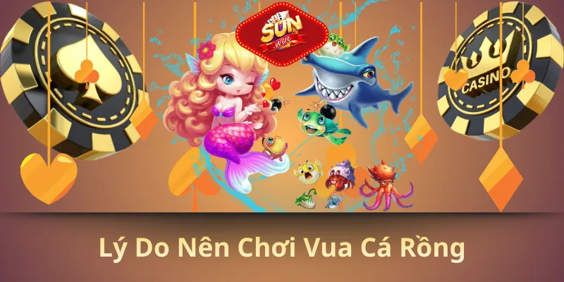 Lý do nên chơi vua cá rồng